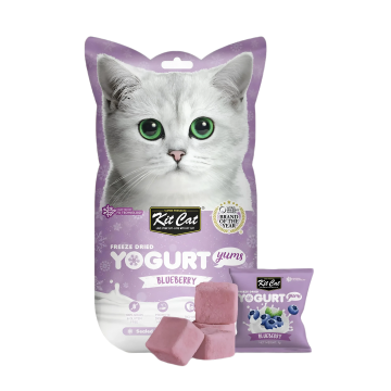 Kit Cat Treat Freeze Dried Yogurt Yums Blueberry 10 pcs